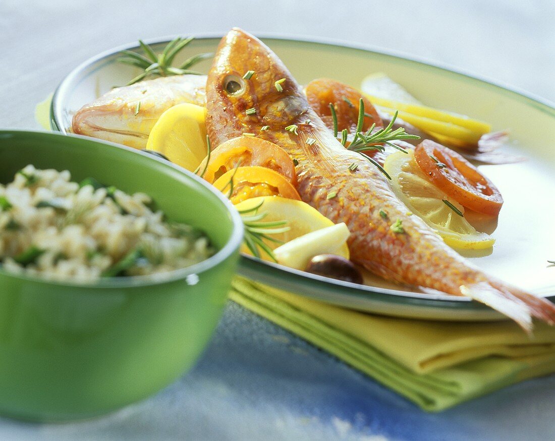 Red mullet with vegetables and rice with herbs