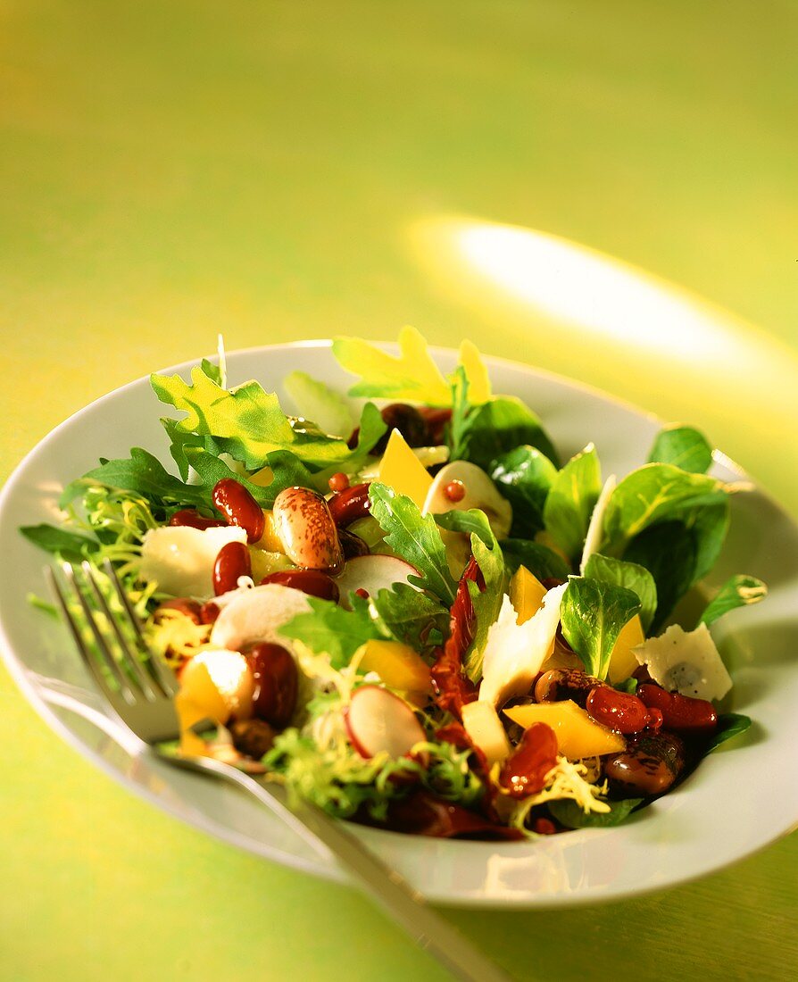 Mixed salad leaves with beans, radishes and Parmesan