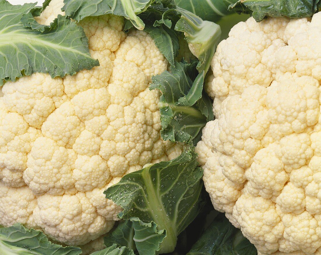 Cauliflower with drops of water