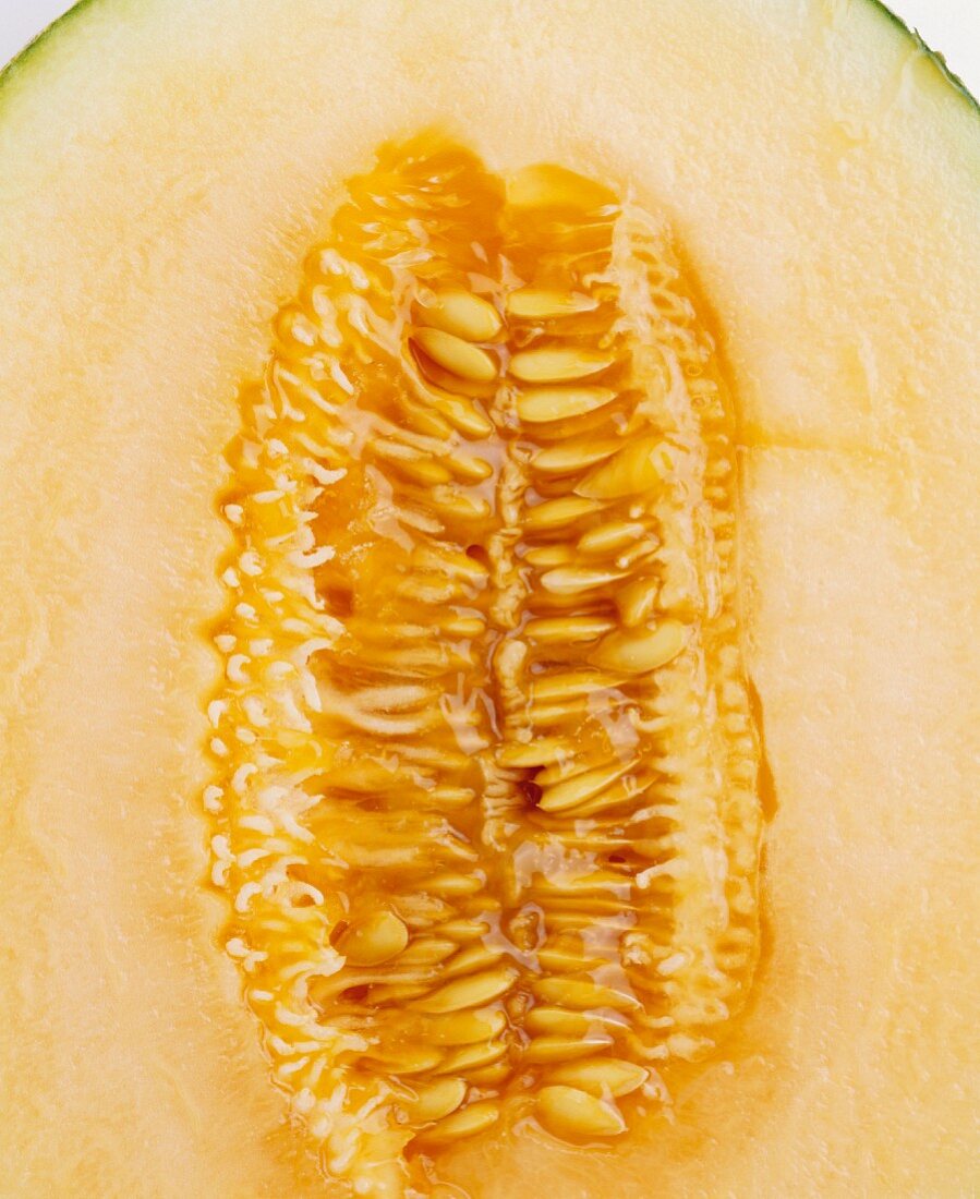 Sweet melon (detail)