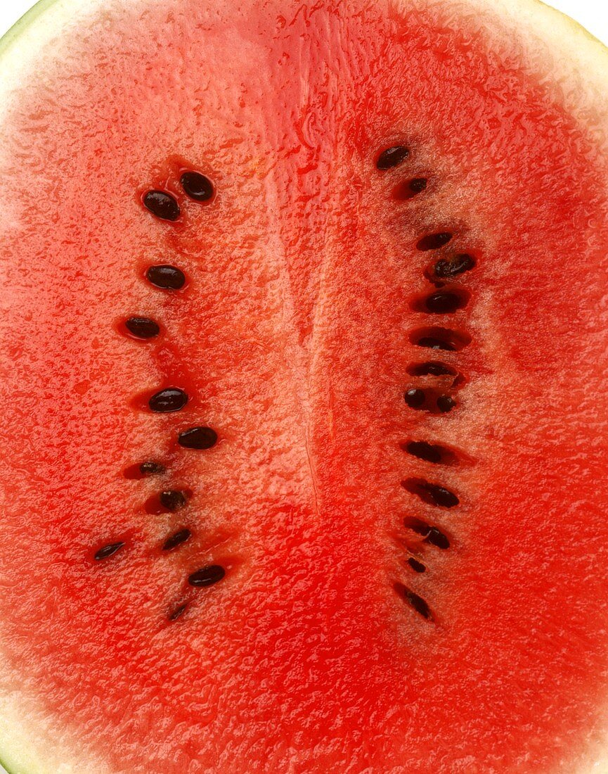 Wassermelone (Detail)