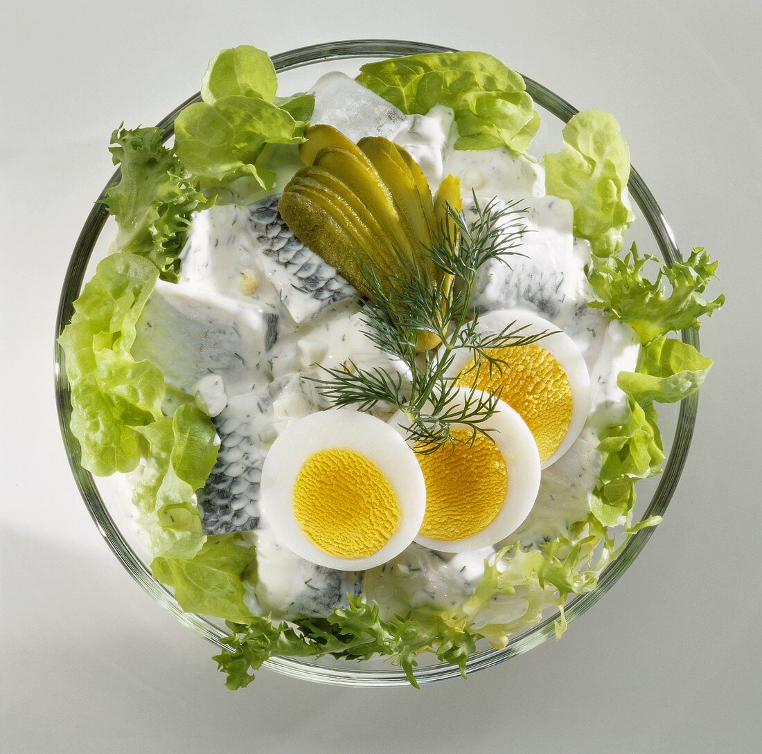 Herring salad with gherkins, egg and lettuce