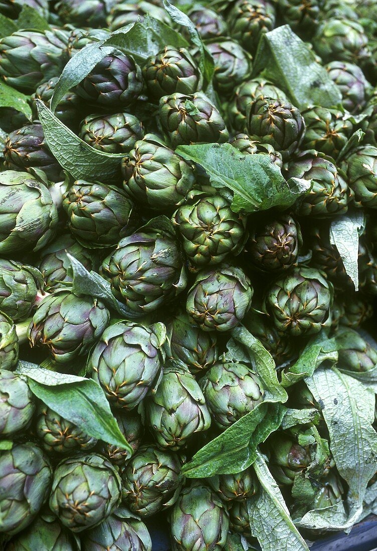 Artichokes (filling the picture)