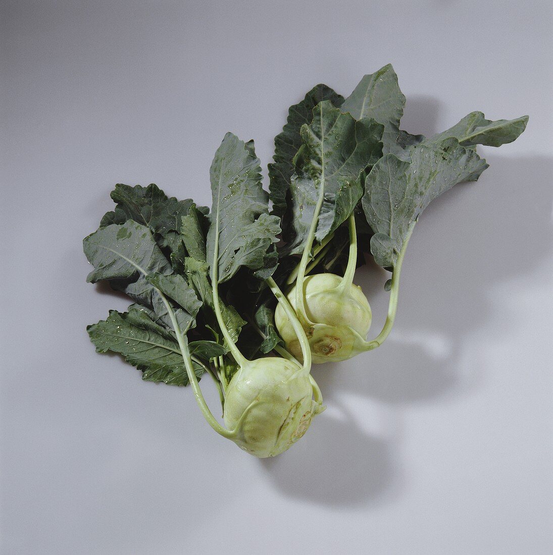 Kohlrabi mit Blättern