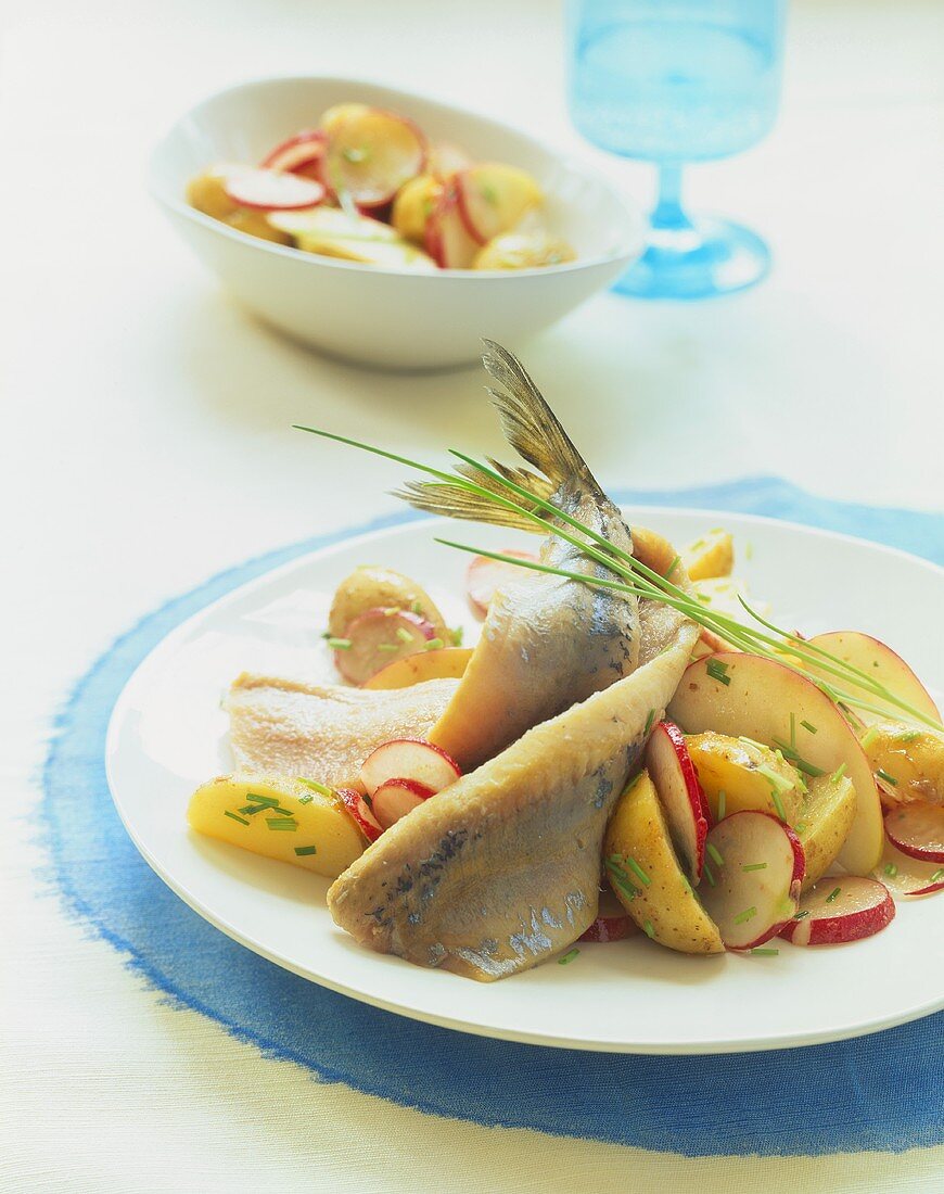 Matje herrings with marinated potatoes and radishes