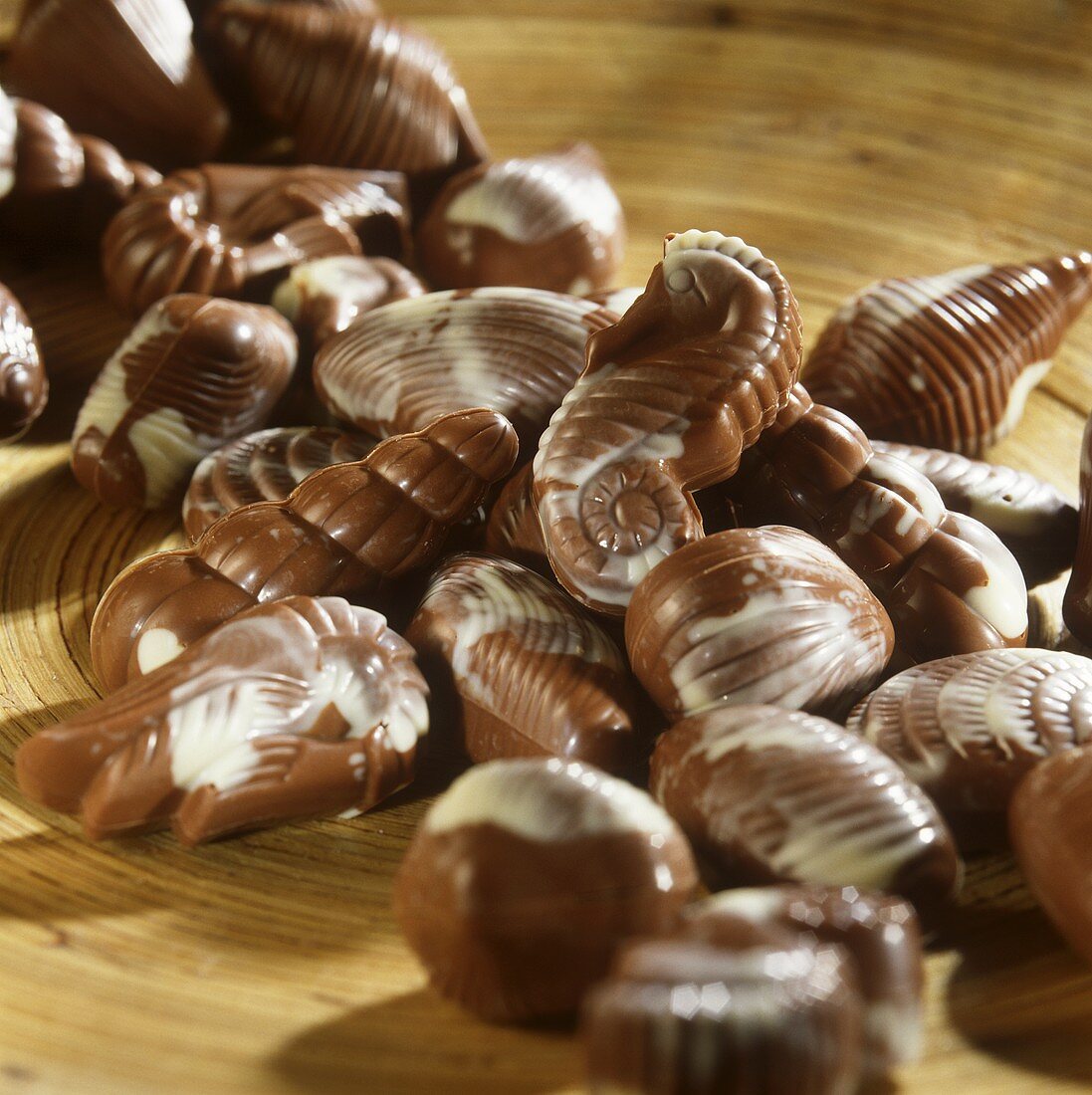 Belgische Schokoladen-Meeresfrüchte