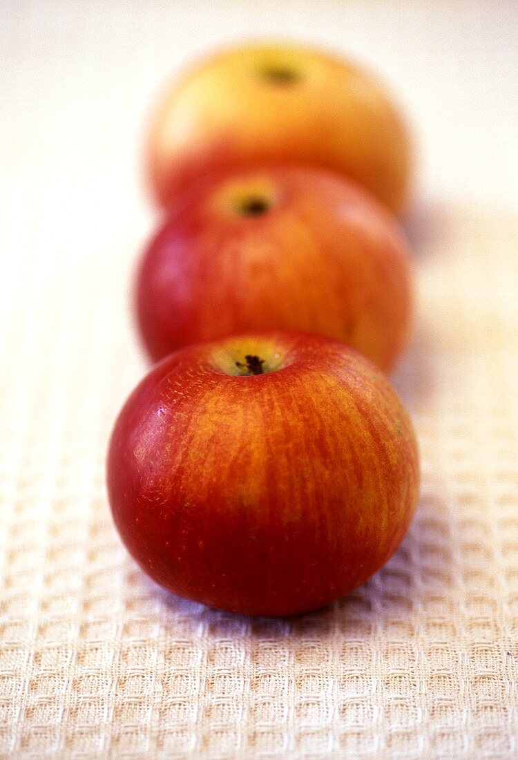 Rote Äpfel in einer Reihe