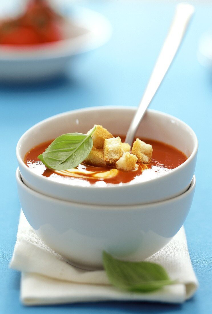 Tomato soup with zwieback (rusk) in soup bowl
