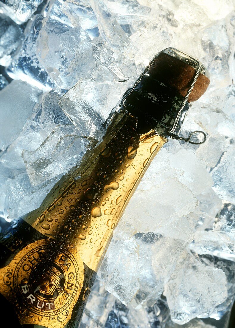 Champagne bottle on ice