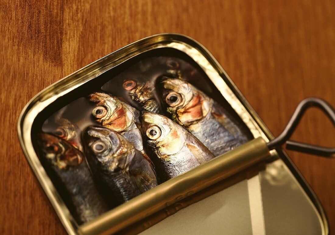 Sardines