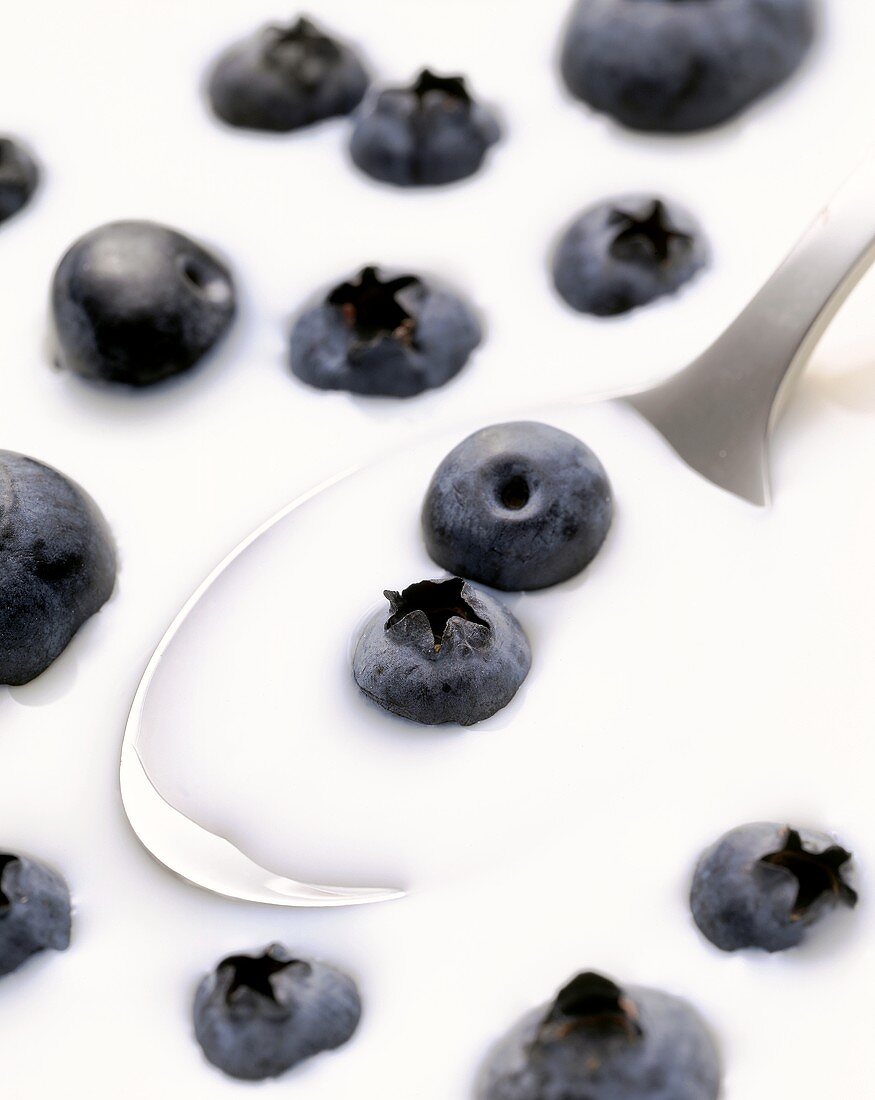 Fresh blueberries in milk with spoon