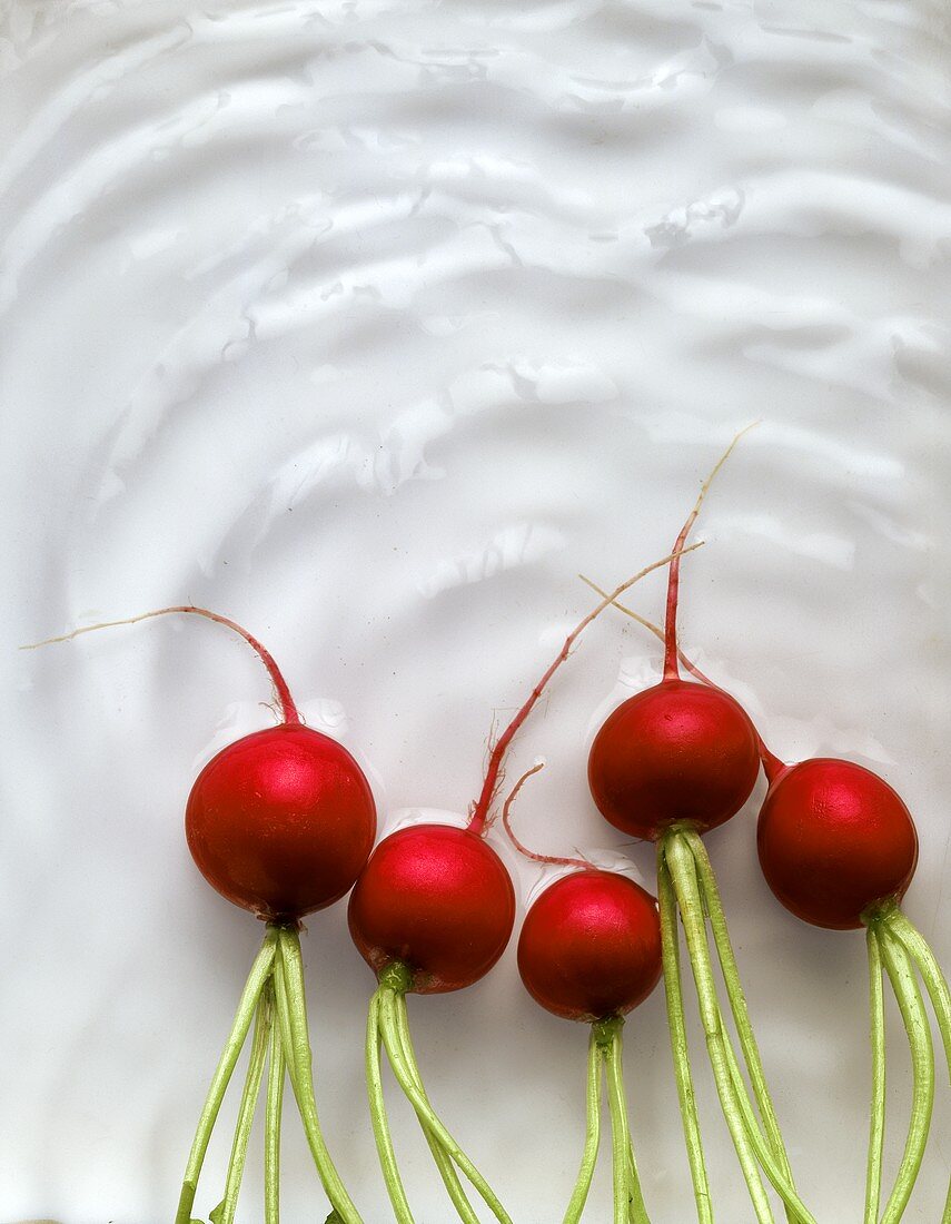 Radishes