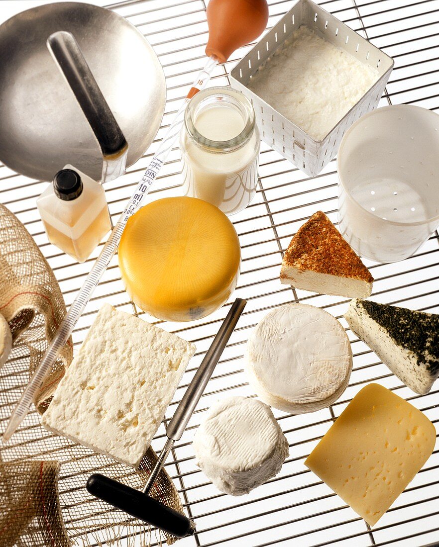 Verschiedene Käsesorten und Zutaten zur Käseherstellung