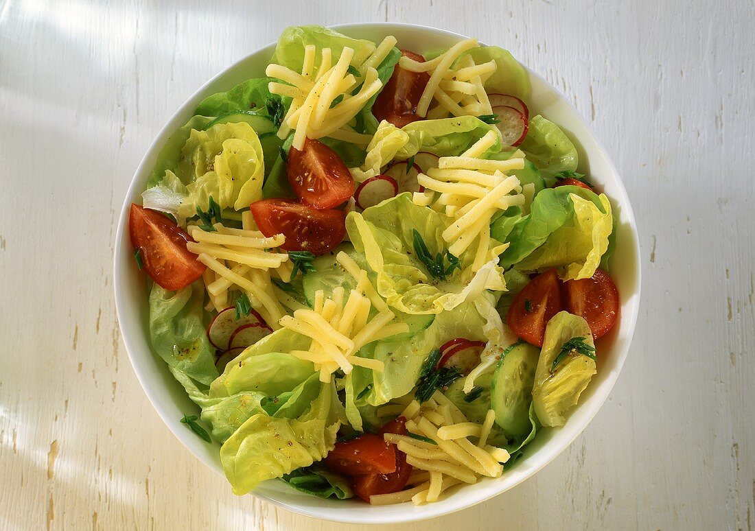 Mixed salad with cucumber, tomatoes and cheese sticks