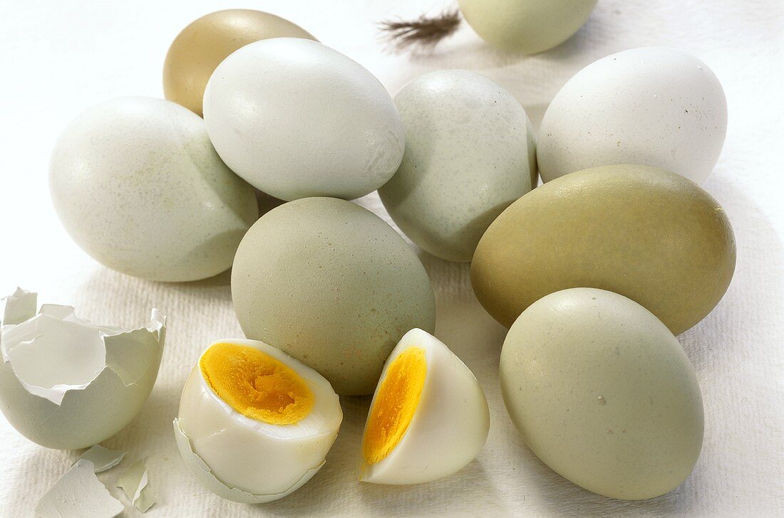 Gekochte Eier, mit Naturfarbe gefärbt