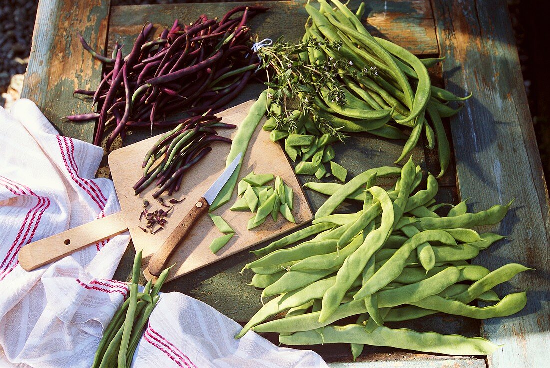 Various types of green beans