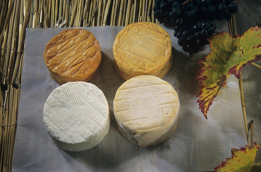Epoisses at four stages of maturity