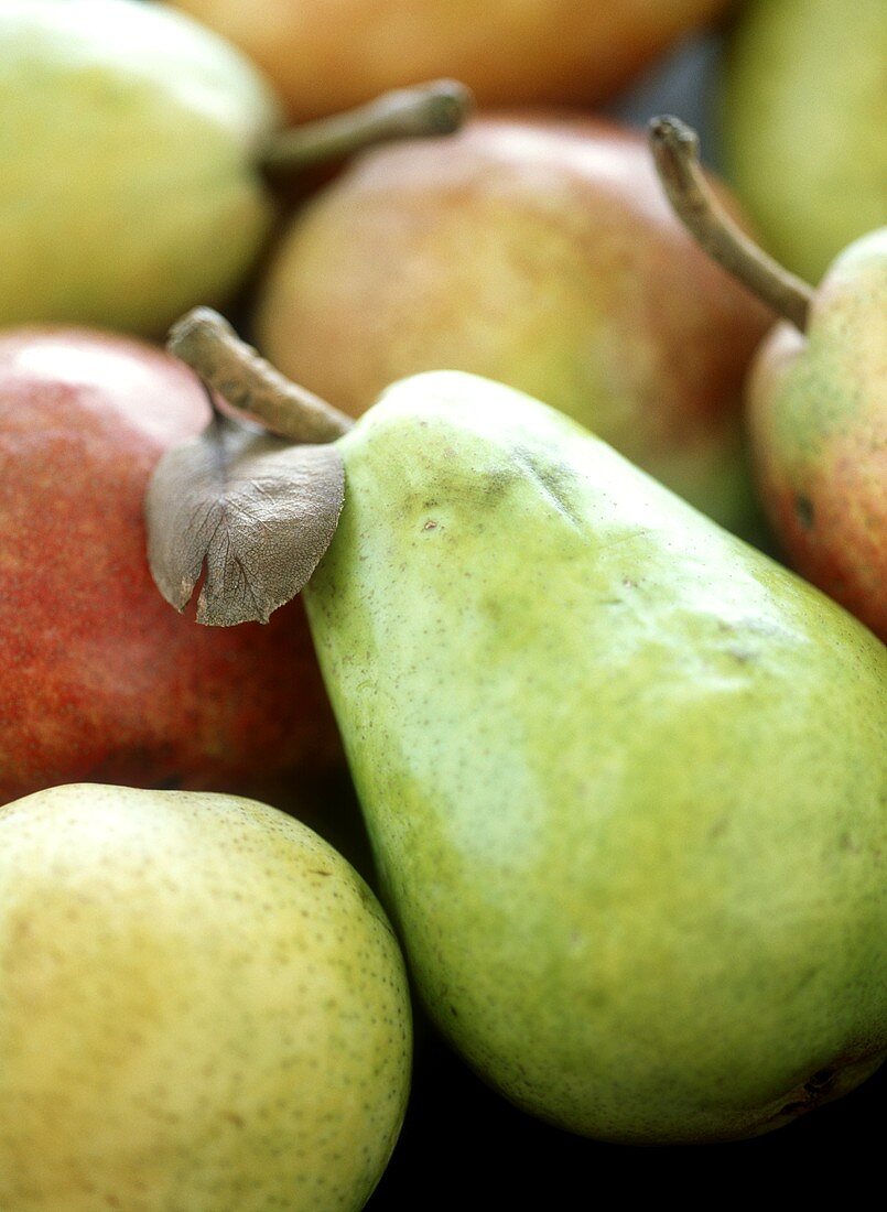 Various pears (close-up)