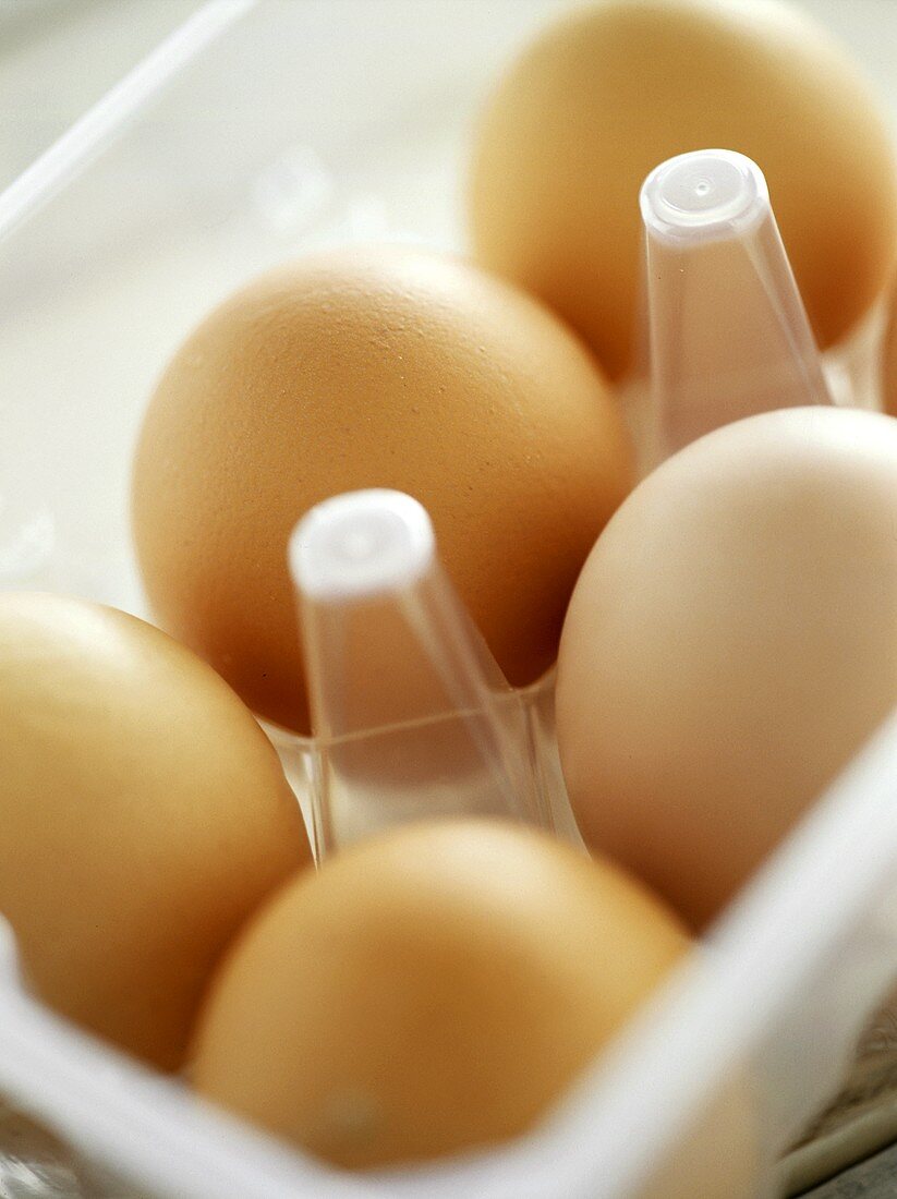 Braune Eier im Behälter