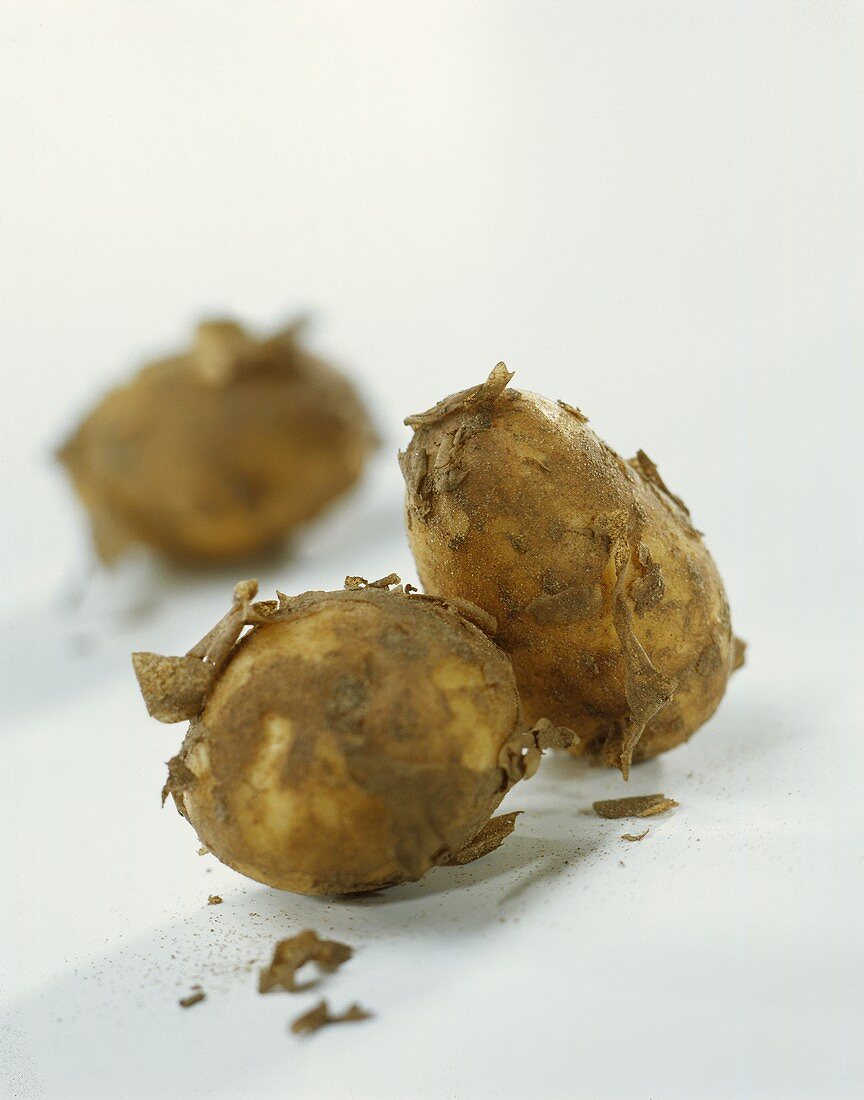 Frische ungeschälte Kartoffeln