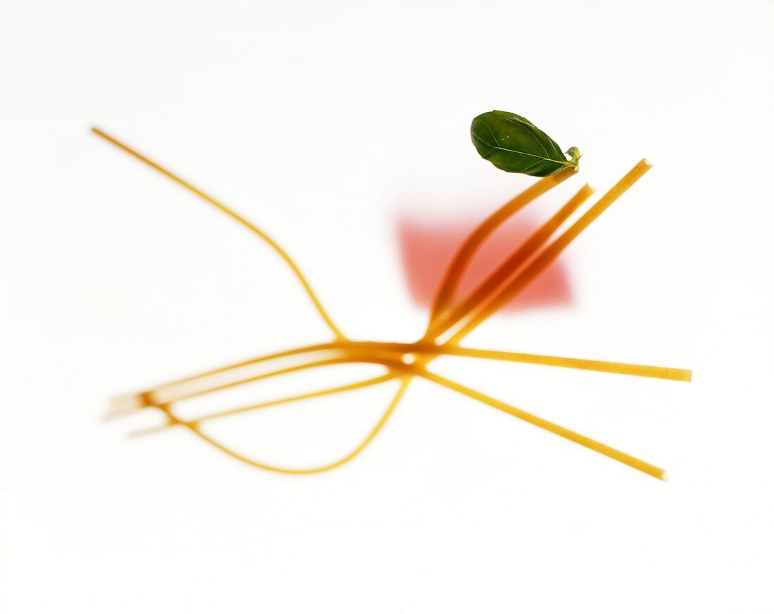 Spaghetti with basil leaf