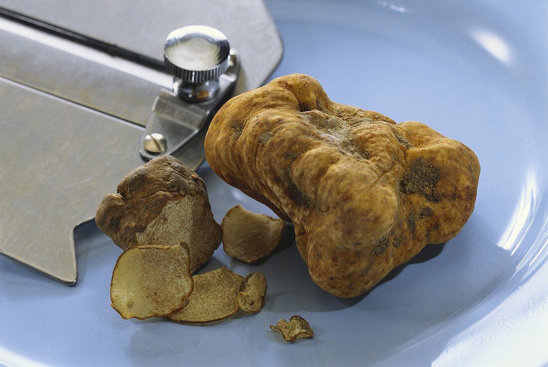 White Piemonte truffle with slicer