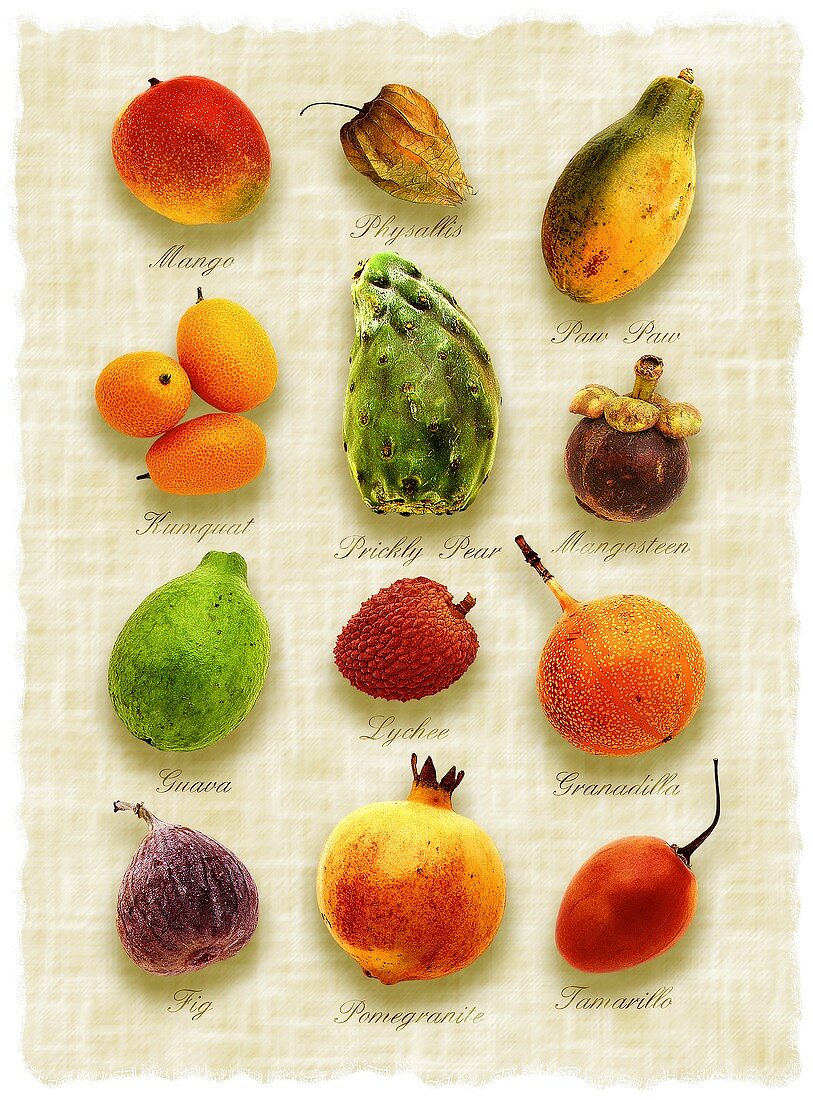 Exotische Früchte im Stil eines gemalten Bildes