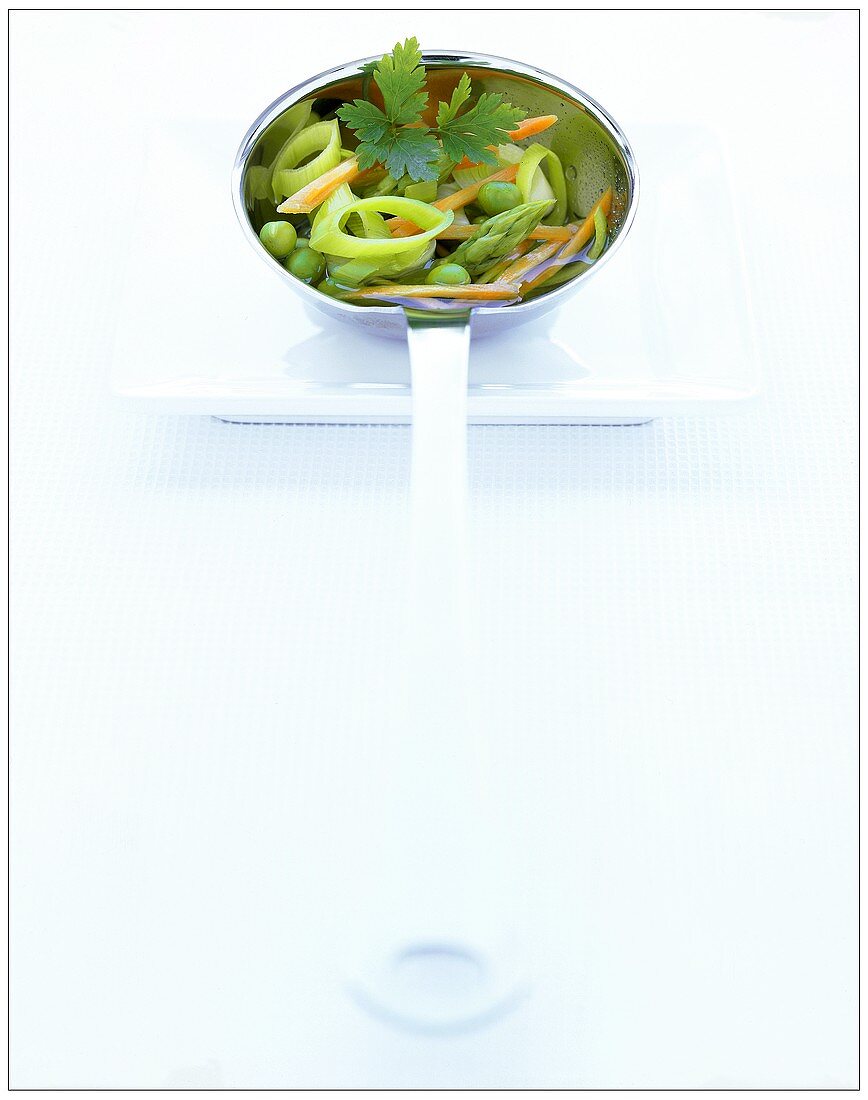 Ladle with soup vegetables