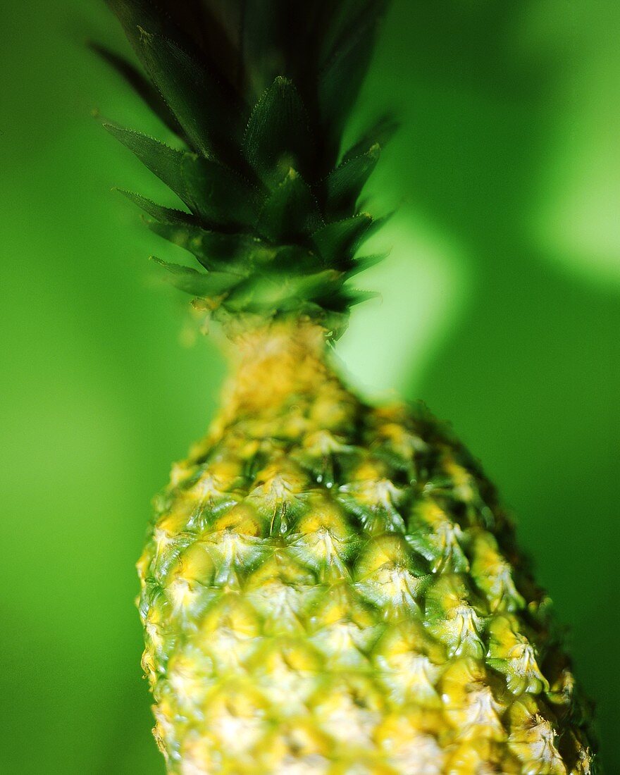 Pineapple against green background