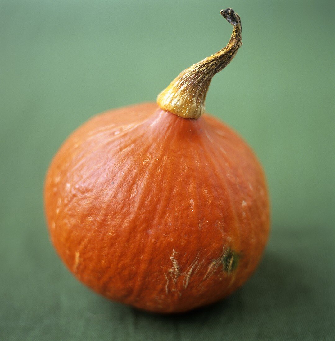 Hokkaido pumpkin