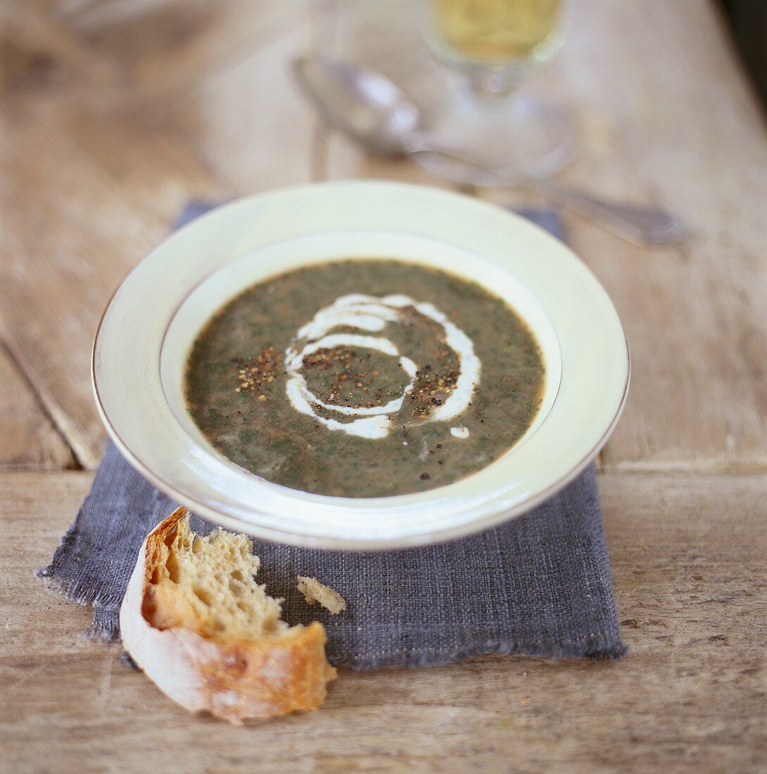 Spinach soup with sour cream and pepper