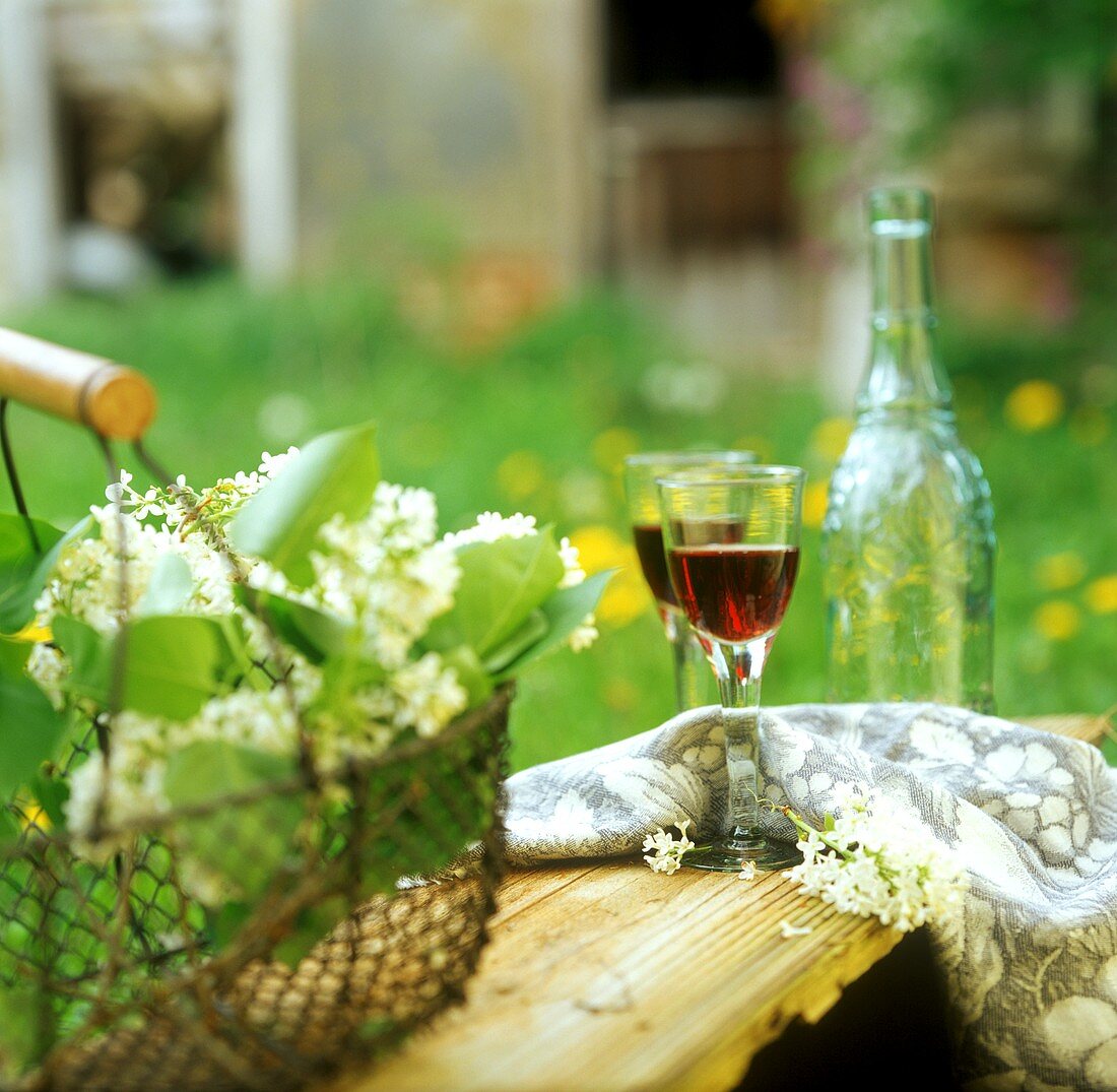 Zwei Gläser Rotwein im frühlingshaften Garten