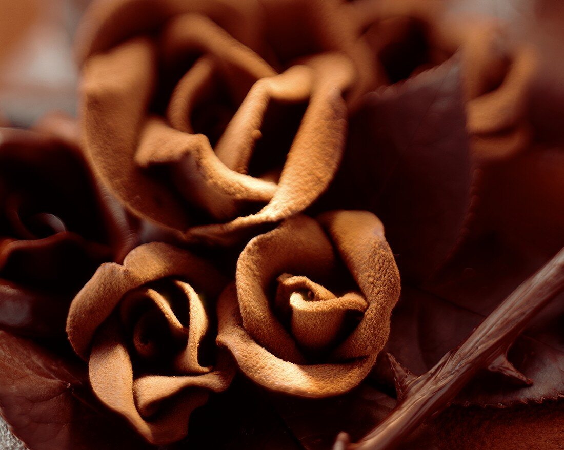 Samtige Schokoladenrosen (Ausschnitt)