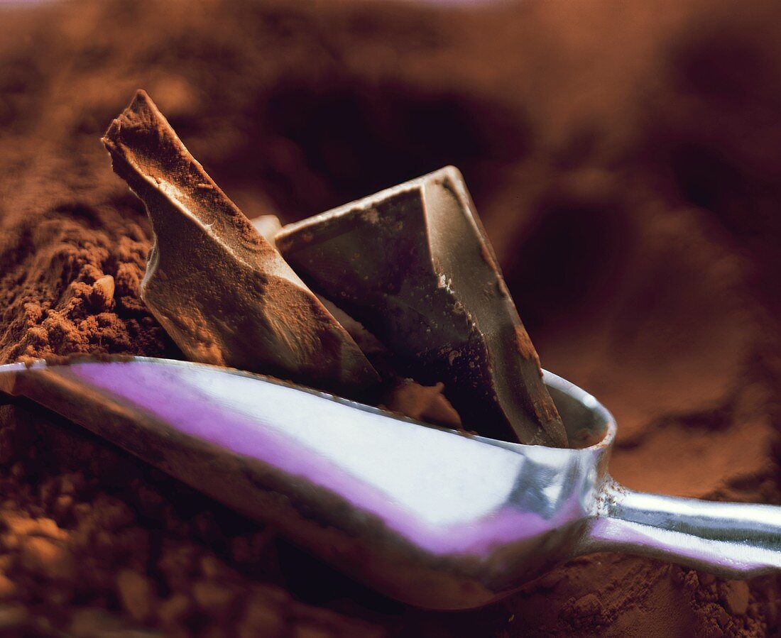 Schokoladenstücke in Metallschaufel auf Kakaopulver
