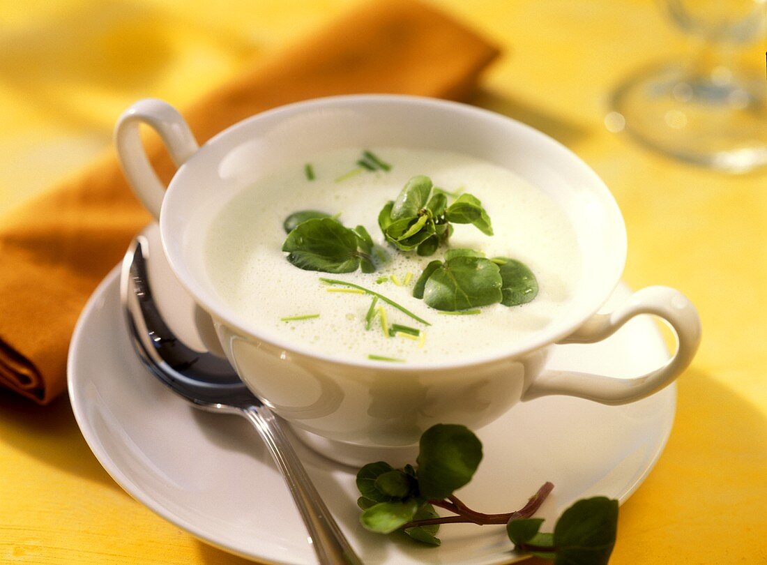 Potato and watercress soup in soup cup
