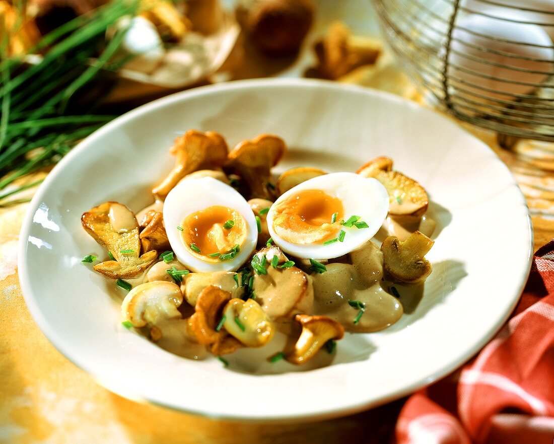 Mushroom ragout with egg and chives
