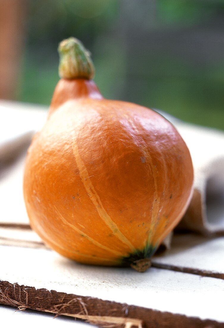 Orange pumpkin on white painted wood