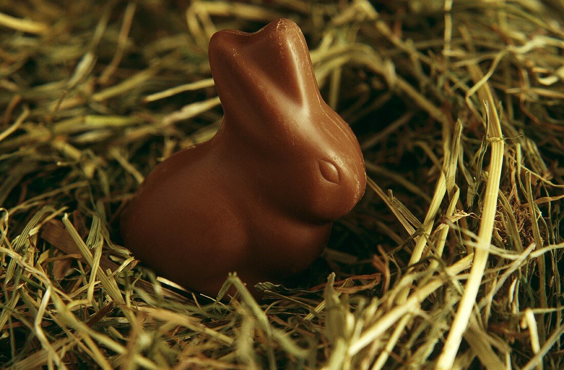Chocolate bunny in straw