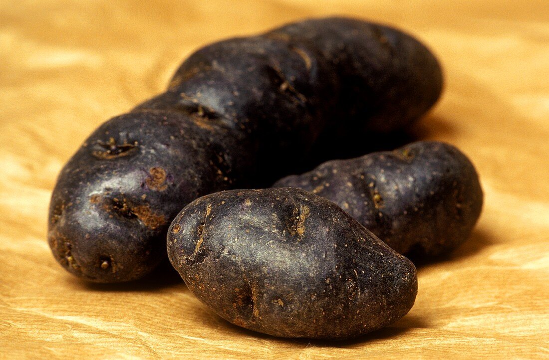 Truffle potatoes (variety: Violette noir)