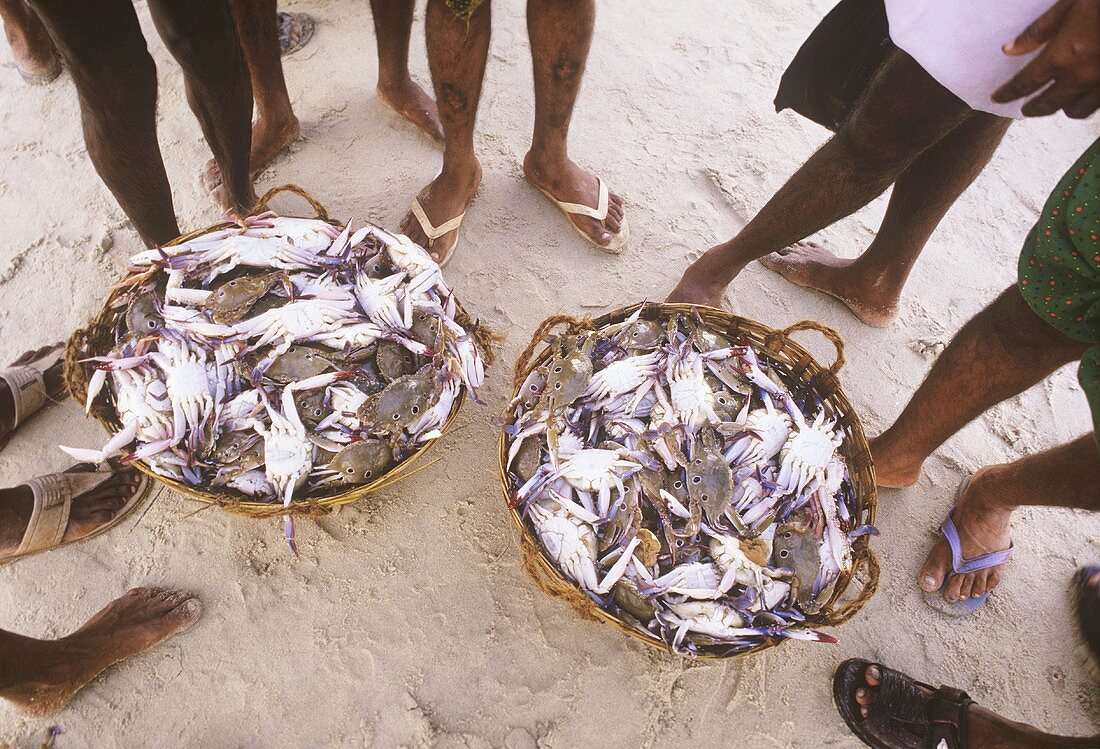 Fresh shellfish for sale in baskets (India)