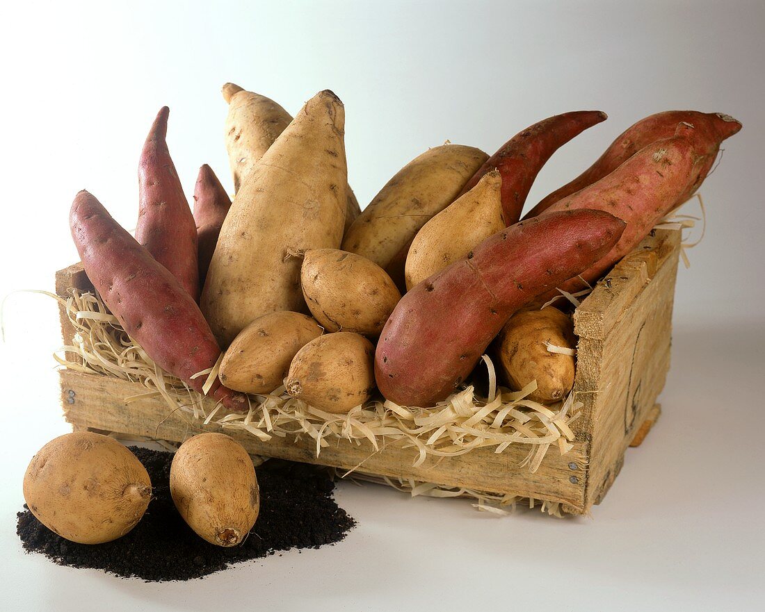 Various sweet potatoes in crate