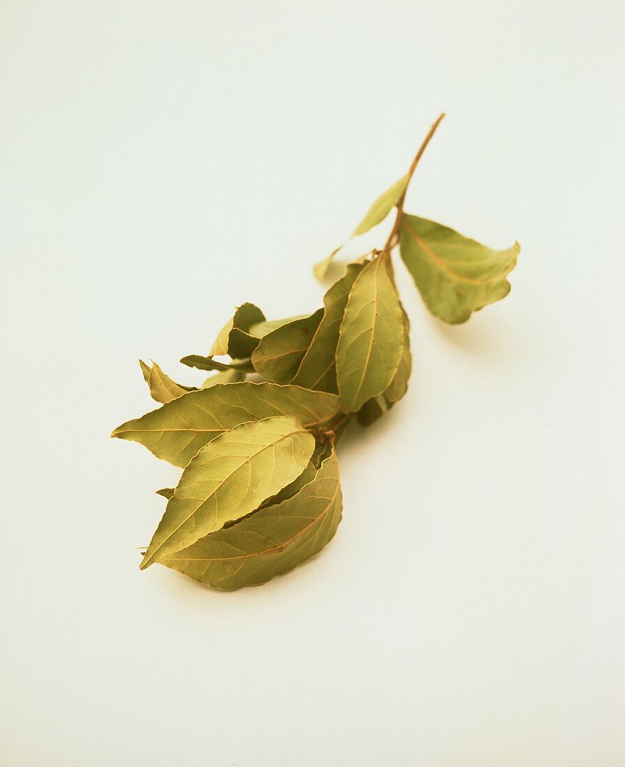 Sprig of dried bay leaves