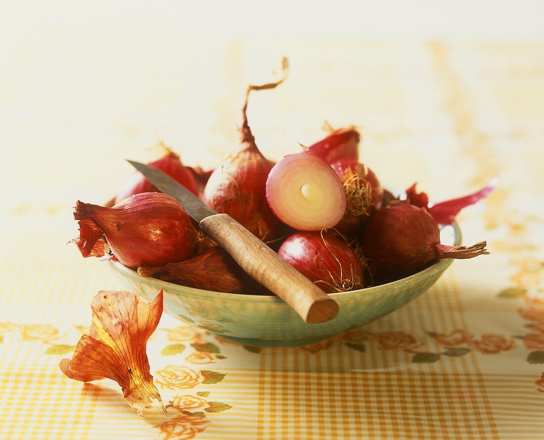 Rote Zwiebeln mit Messer in Schale