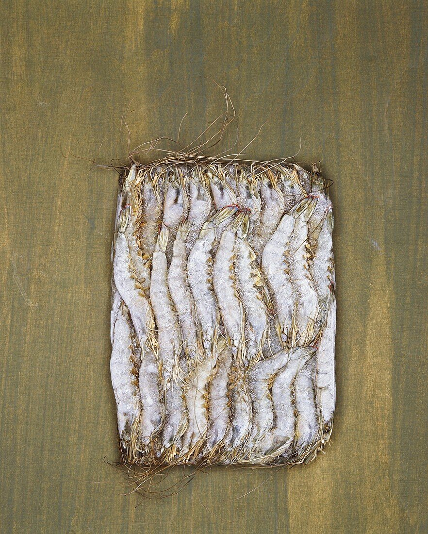 Tiger prawns, frozen in a block