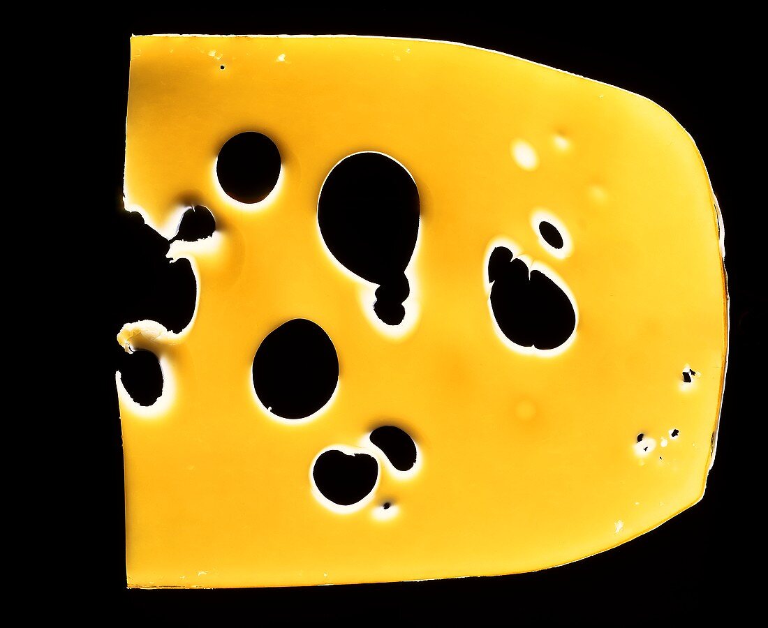 Slice of Emmental cheese