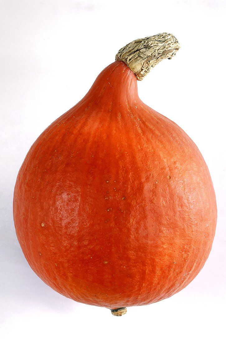 Orange Hokkaido pumpkin