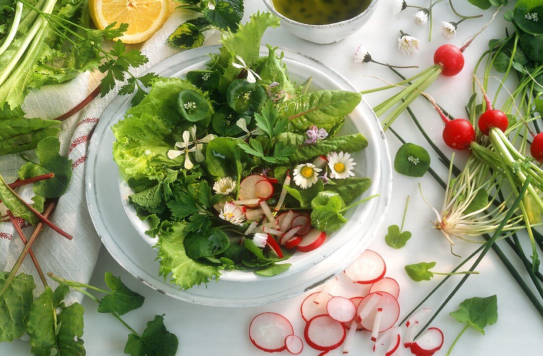 Bunter Salatteller mit Frühlingskräutern