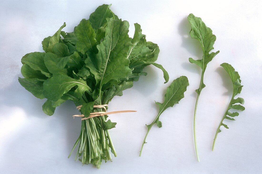 A bunch of rocket and single rocket leaves