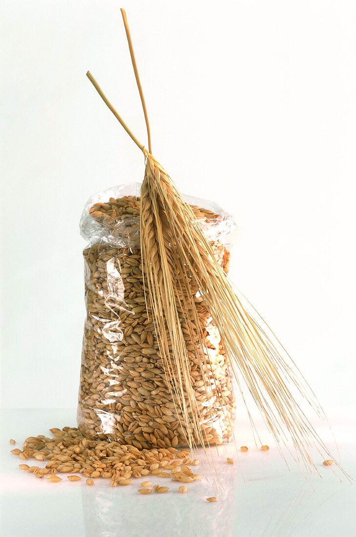 Barleycorns in cellophane bag and ears of barley