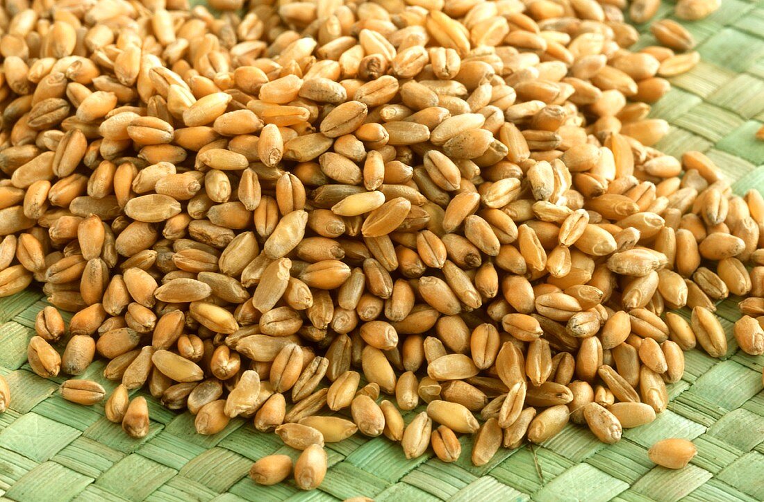 A heap of wheat grains